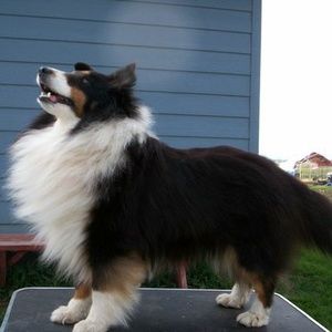 Meet your Posher, Sue